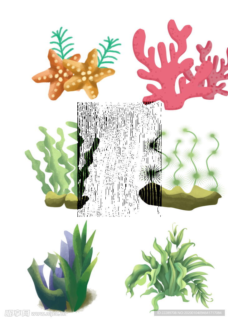 卡通海草海藻