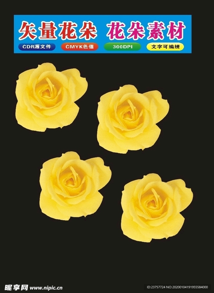 花卉植物学花朵