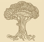 花纹 图案 矢量 花边 底纹