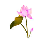 手绘花草 牡丹花园 元素素材