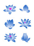 手绘花草 牡丹花园 元素素材