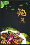 鲍鱼