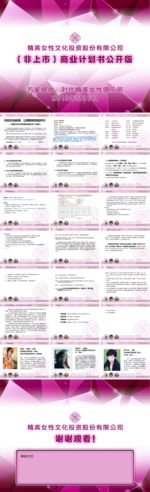商业计划书ppt未上市提案