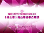 2013商业计划书ppt封面