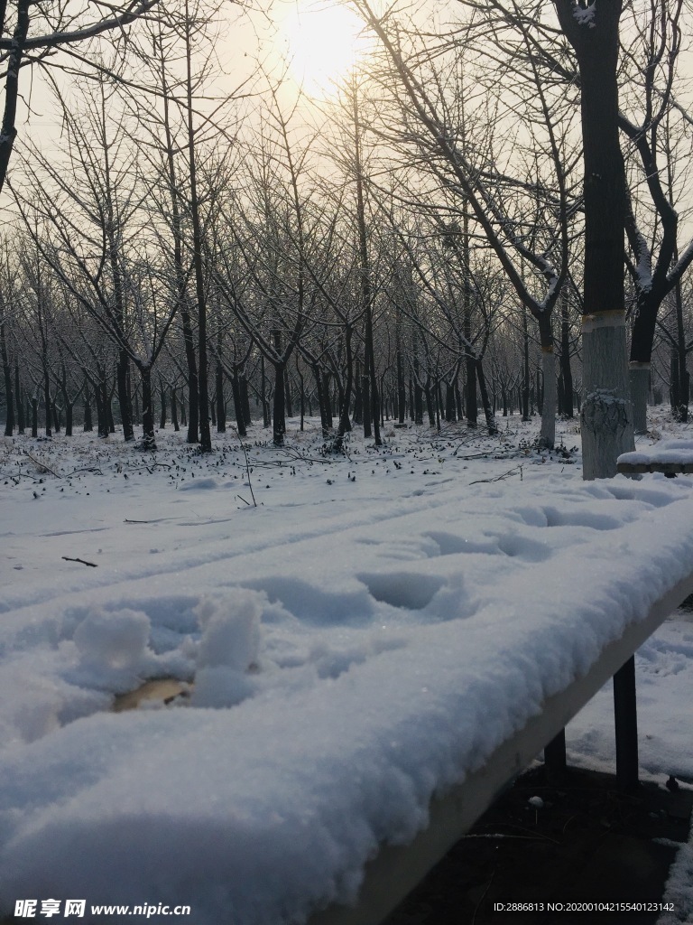 冬日雪景