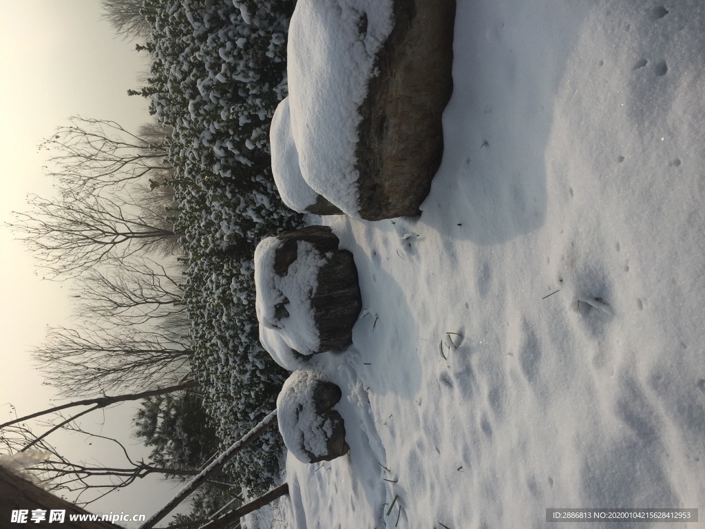 雪景