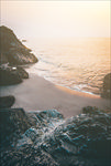海