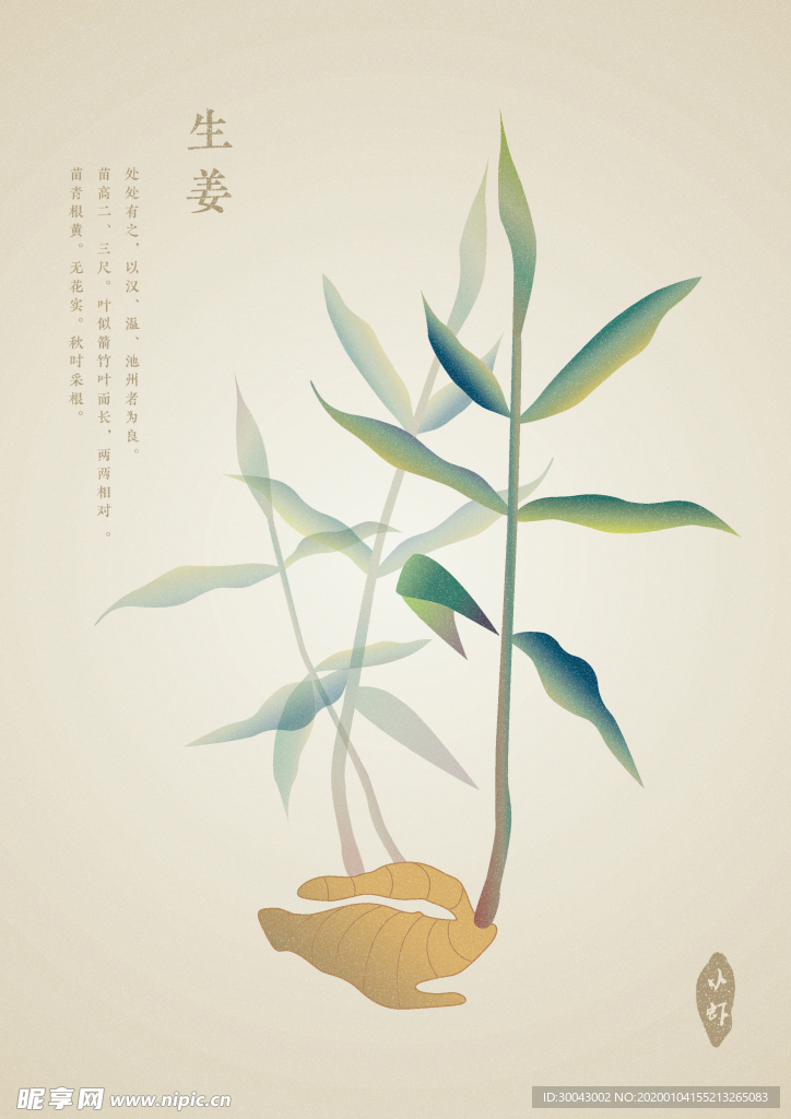 生姜