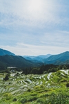 梯田 天空