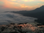 梯田