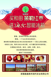 红枣