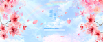 化妆品banner