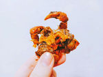 美食美味