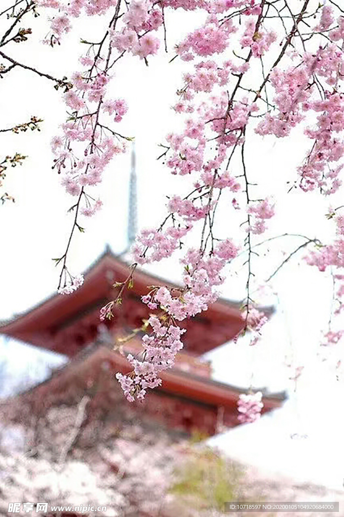 自然美景