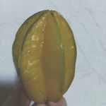 杨桃