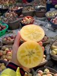 苹果