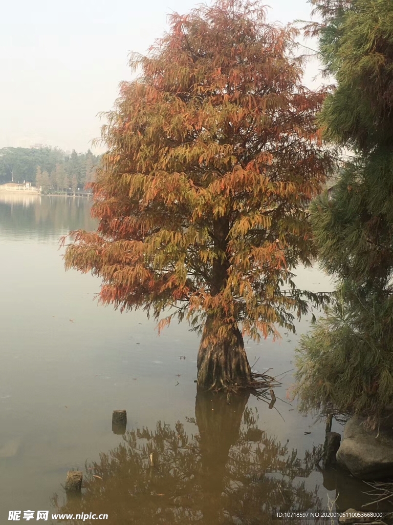 自然美景