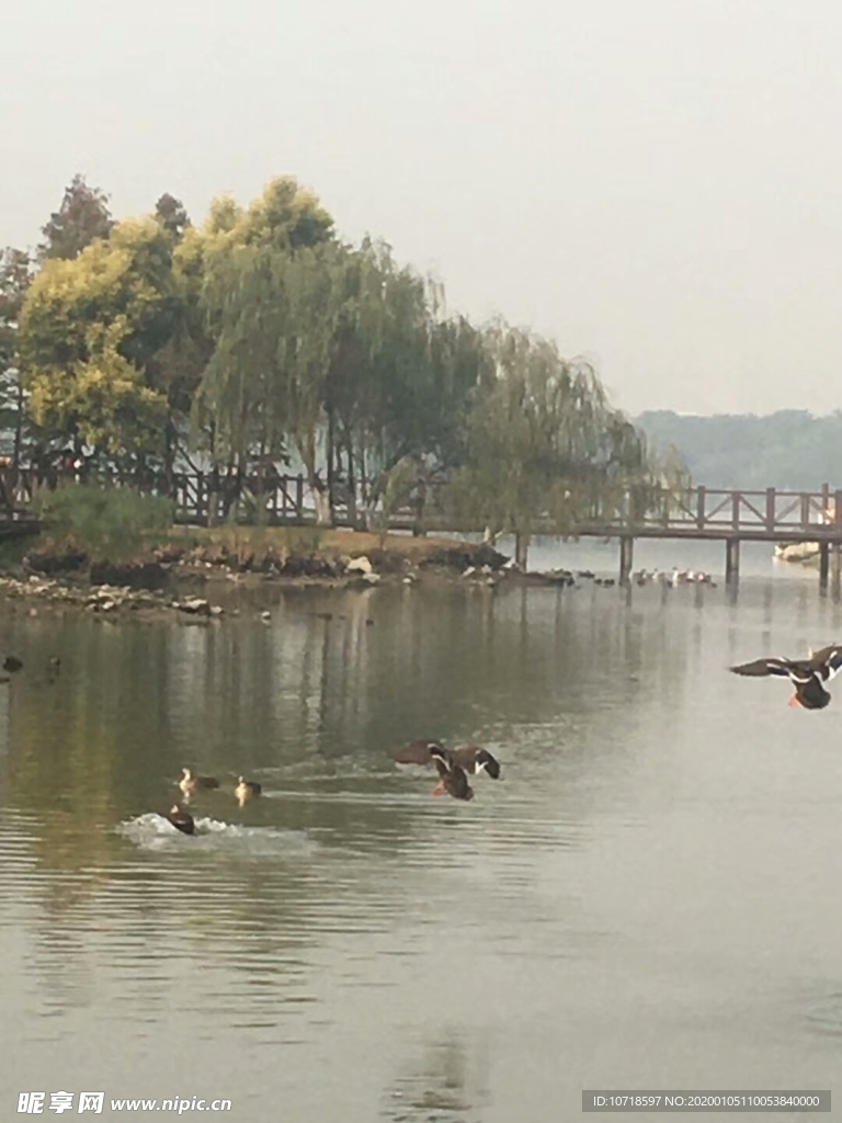 自然美景