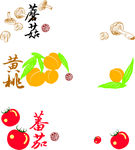 水果插画