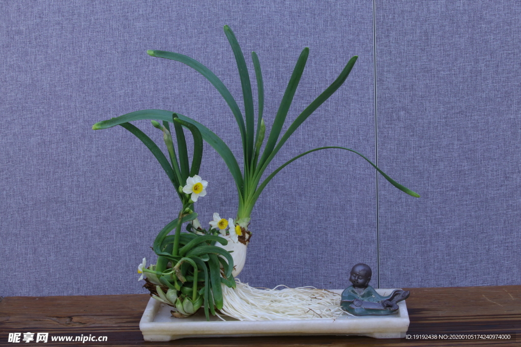水仙花