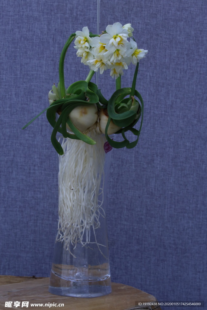水仙花