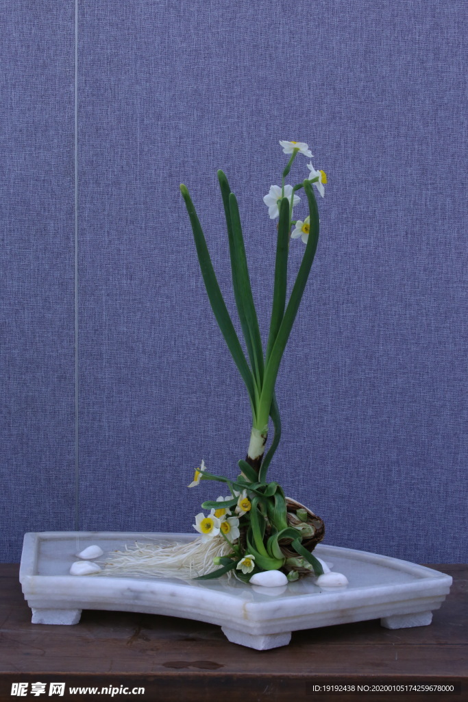 水仙花