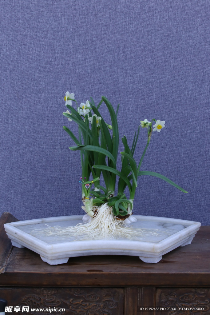 水仙花