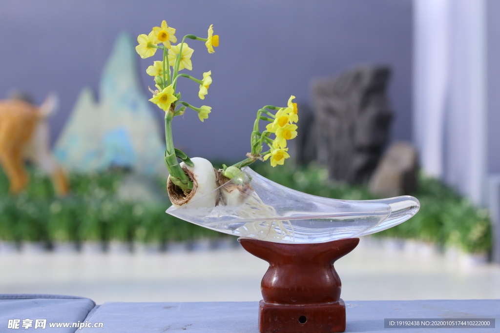 水仙花