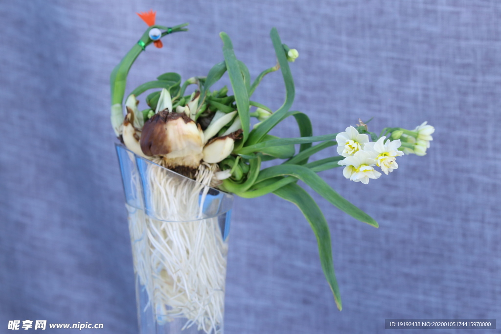 水仙花