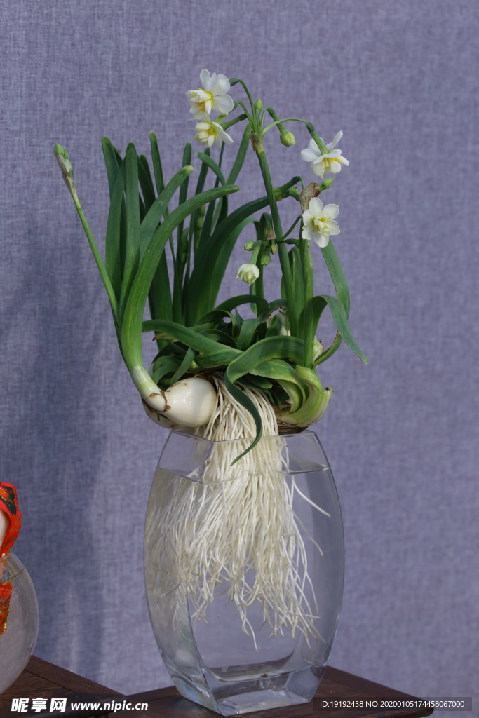 水仙花
