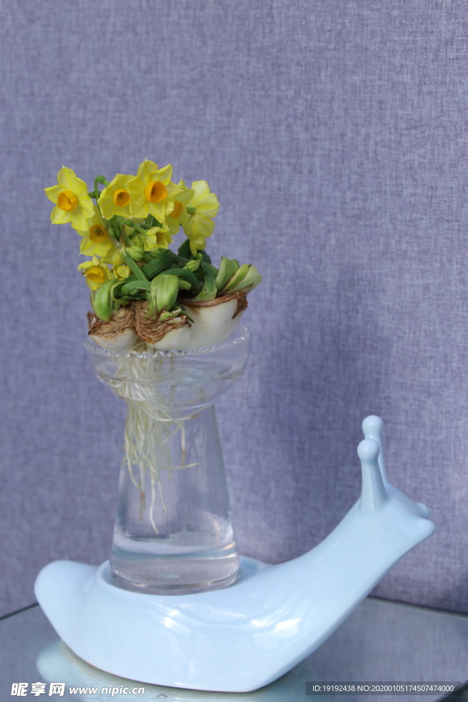 水仙花