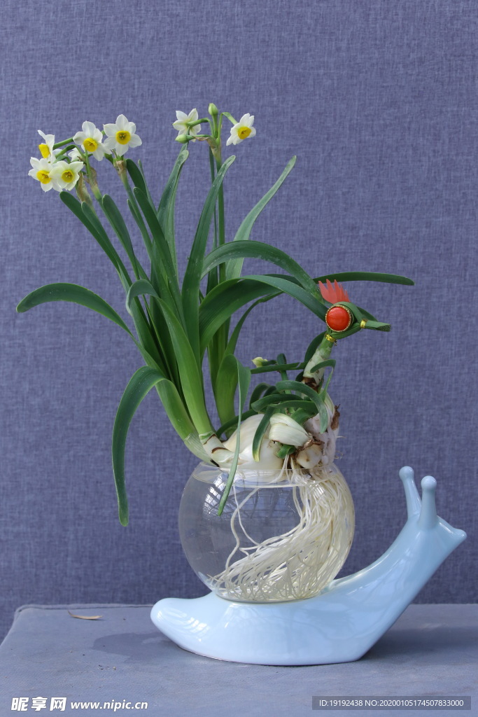 水仙花
