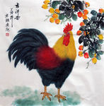 公鸡