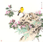 花鸟