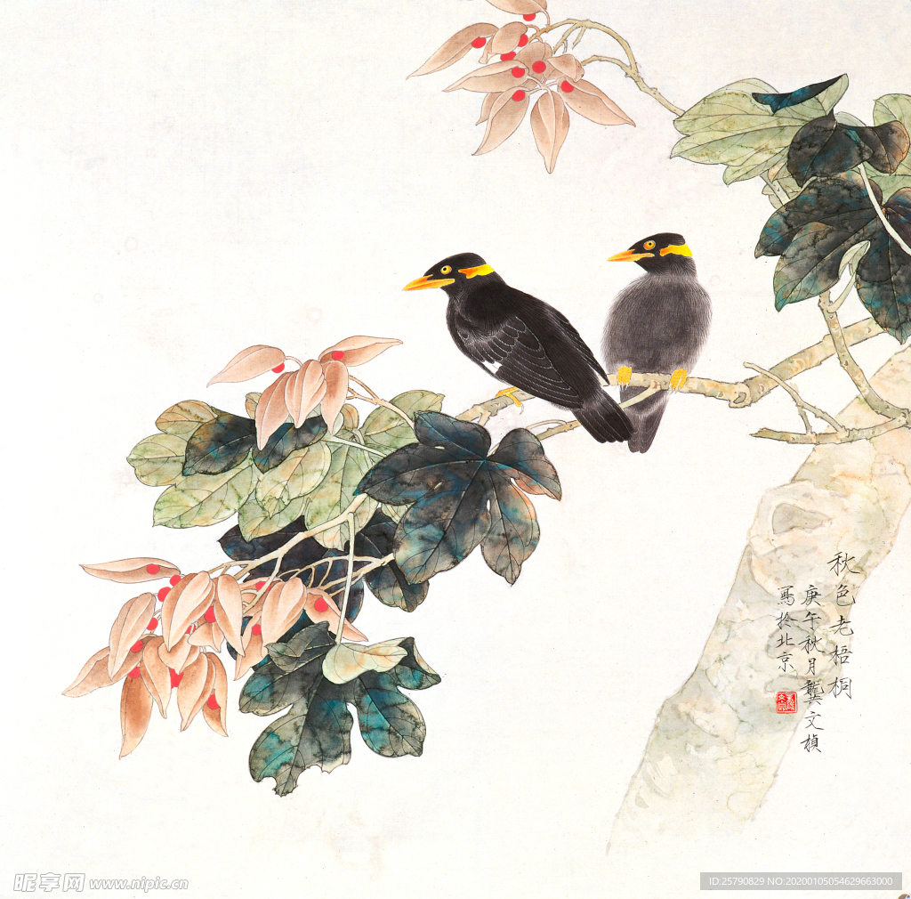 国画花鸟
