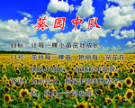 葵园中队