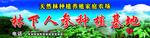 林下人参种植基地