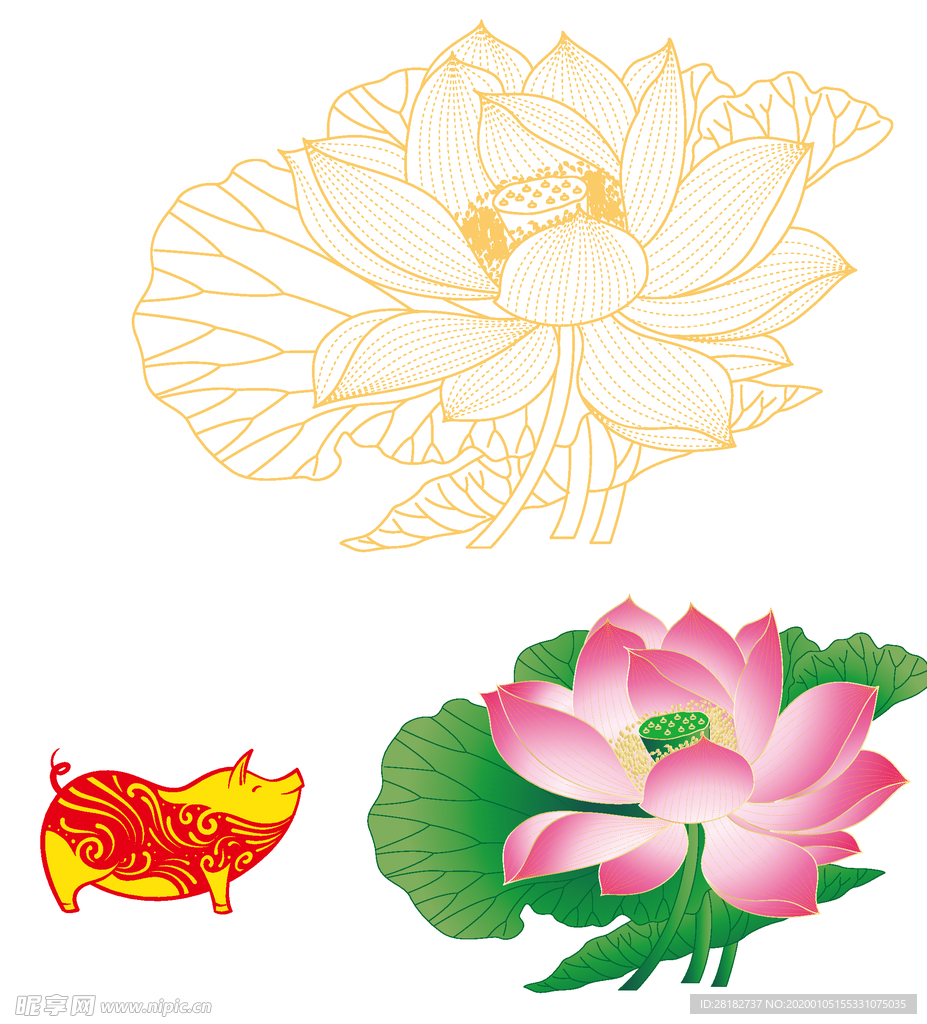 彩色 荷花 矢量  小猪
