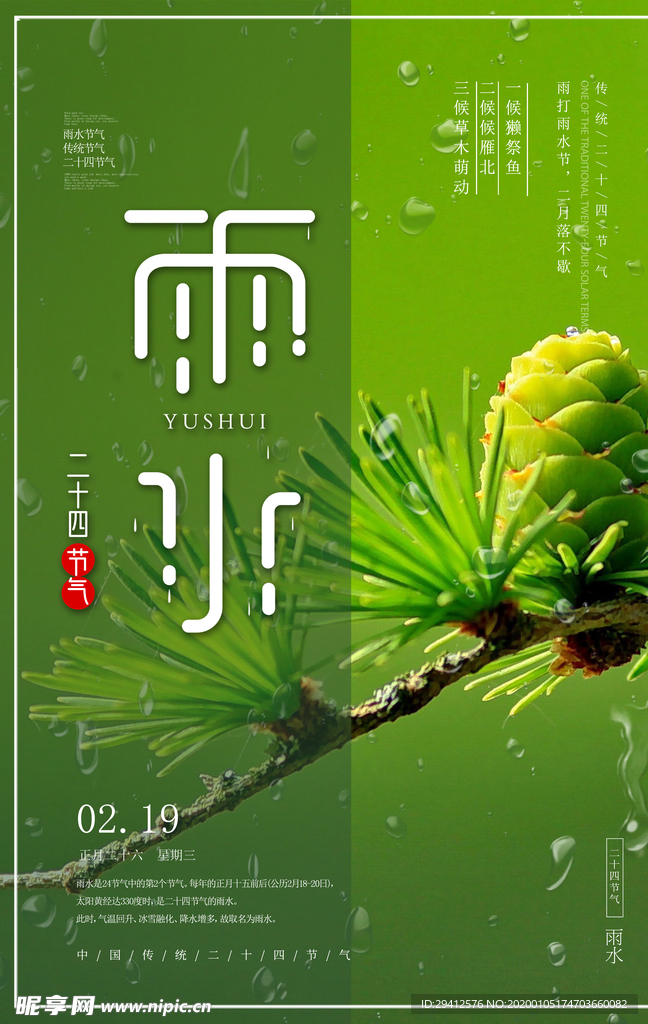 雨水