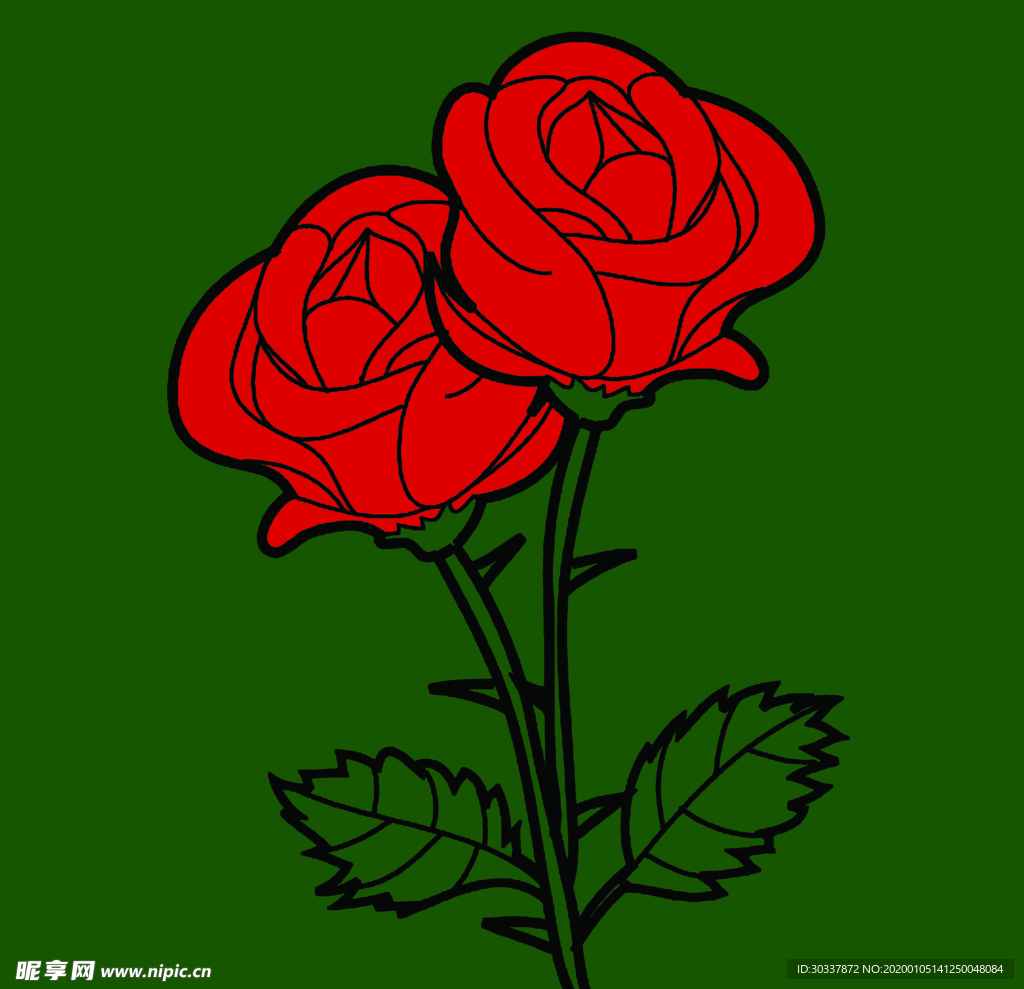 玫瑰花