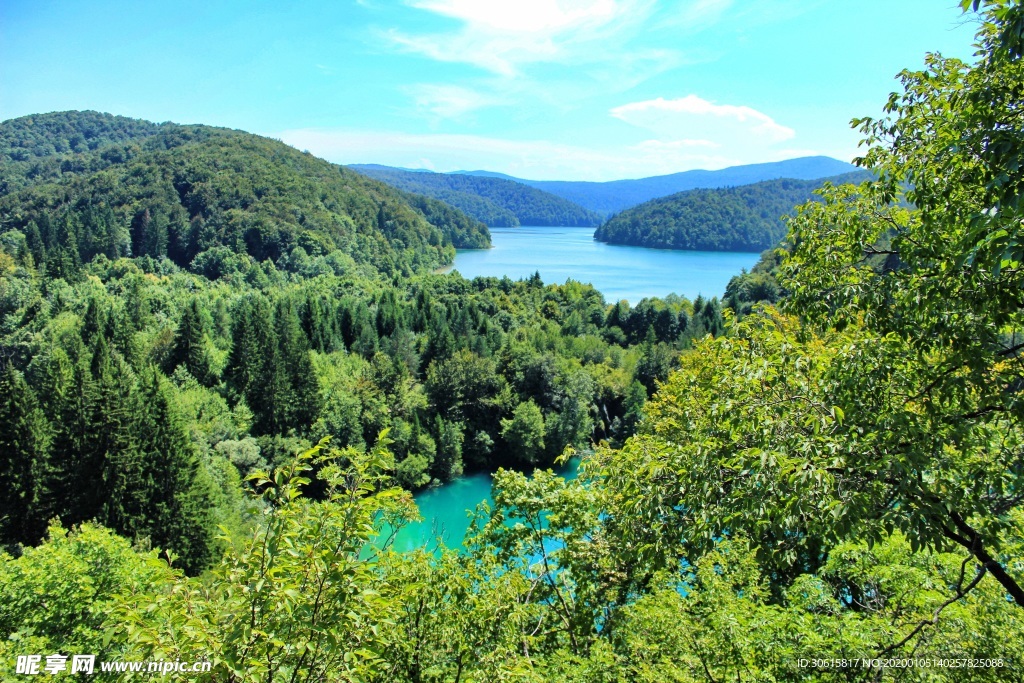 森林湖景