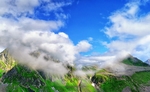山