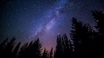 星空 树影