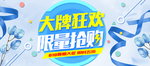 大牌狂欢限量抢购促销banne