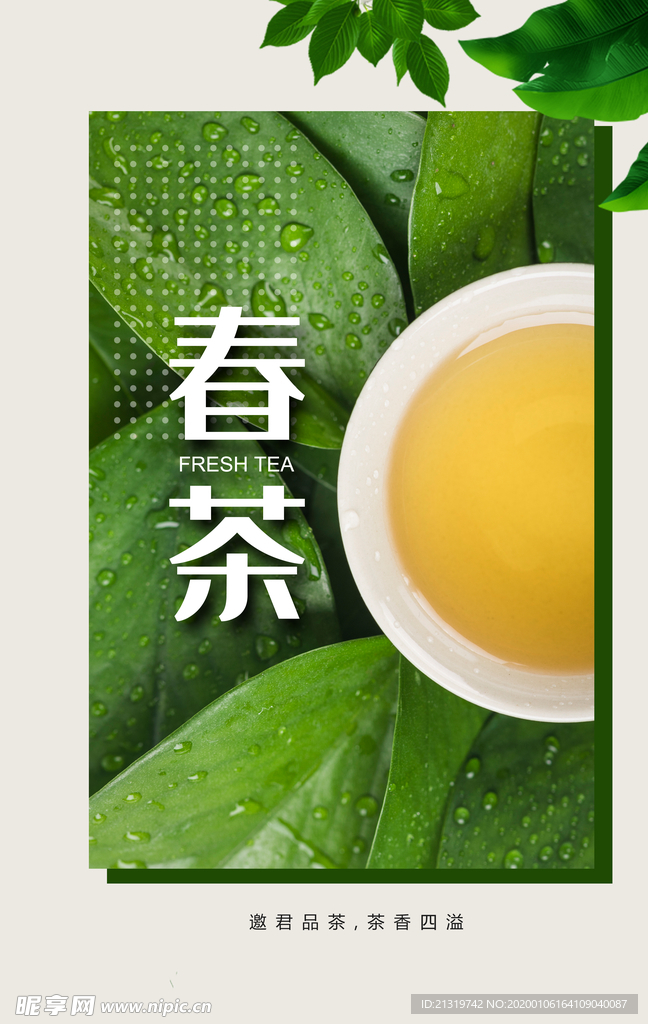 春茶