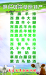 内蒙古特产