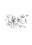 中国古典花纹