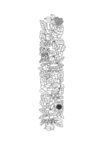 中国古典花纹
