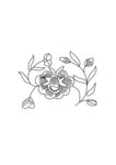 中国古典花纹