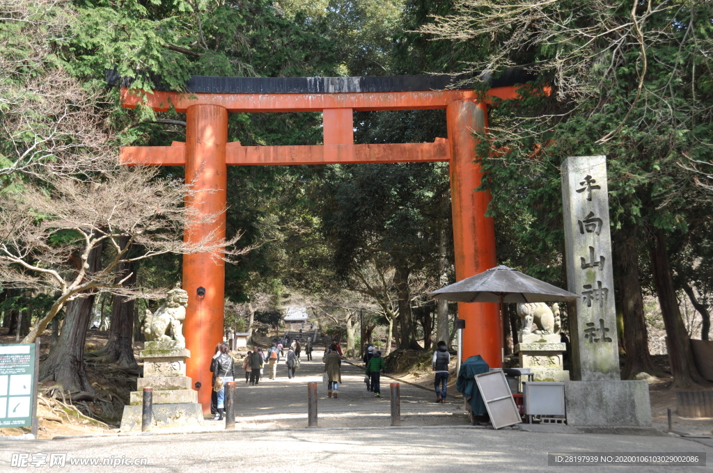 日本 大阪 奈良 旅游